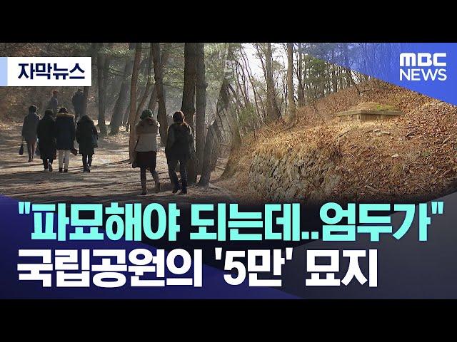 [자막뉴스] "파묘해야 되는데..엄두가" 국립공원의 '5만' 묘지 (MBC뉴스)