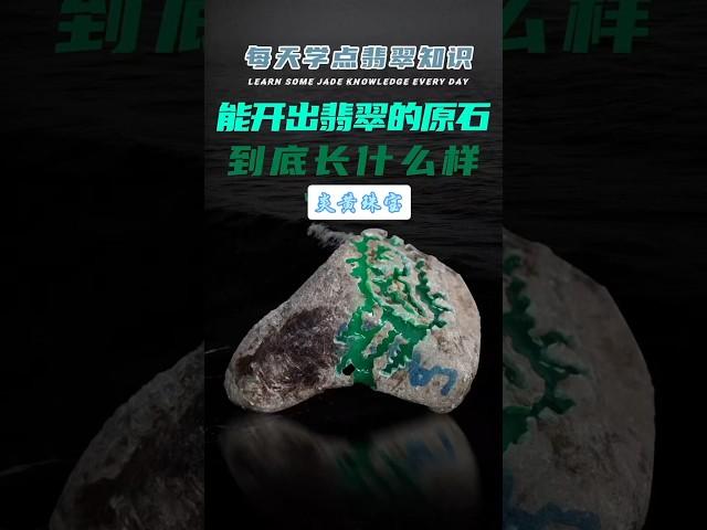 能开出翡翠的原石，到底长什么样子？#翡翠 #珠宝 #翡翠知识 #翡翠定制 #私人定制