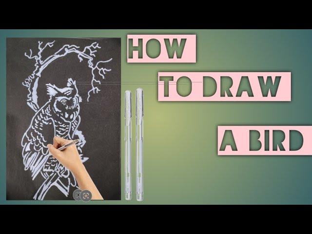 how to draw a bird step by step  #whitemarker #art