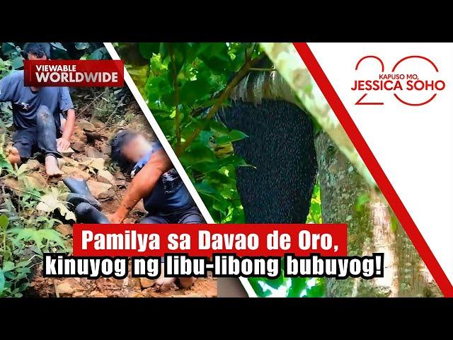Pamilya sa Davao de Oro, kinuyog ng libu-libong bubuyog! | Kapuso Mo, Jessica Soho
