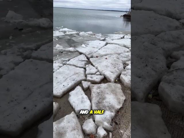 Black Ice Disaster  Exploring the Aftermath and Damage caused by Airboats