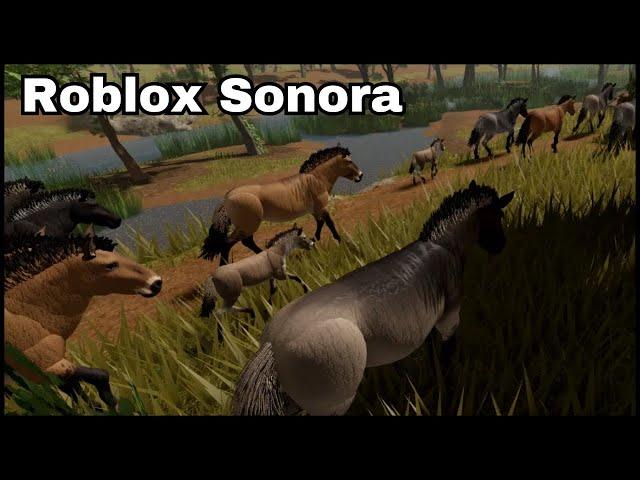 Roblox Sonora - Ancient horse and foal + What's next for Sonora: Wolf, Coyote, Bretzia & more