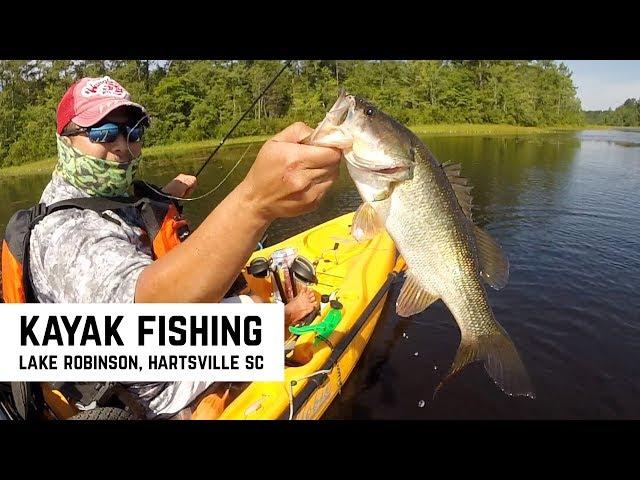 Bass on Hellgrammite Worms on Shaky Head, Cl8Bait Mighty Mouse Chain Pickerel! Kayak Bass Fishing