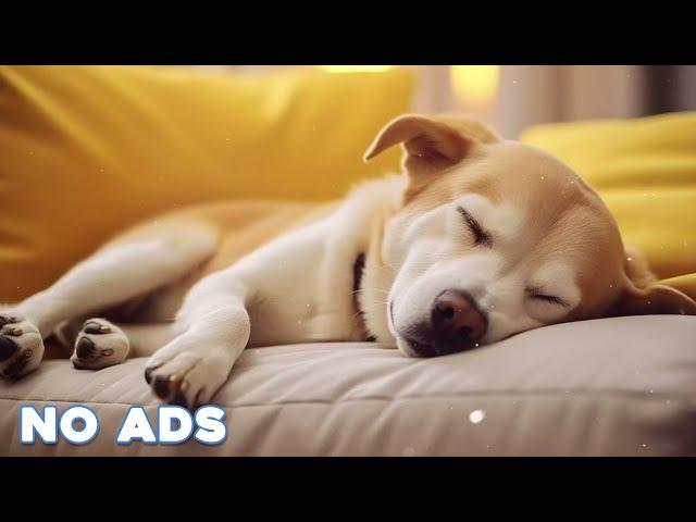 12 Hours Anti Anxiety Music For Dogs  Stress Relief Music For Dogs  Calming Music For Dogs