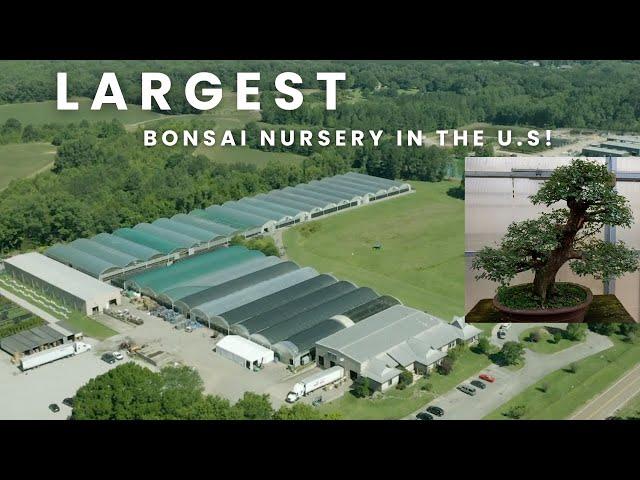 Visiting The Largest Bonsai Nursery In The United States