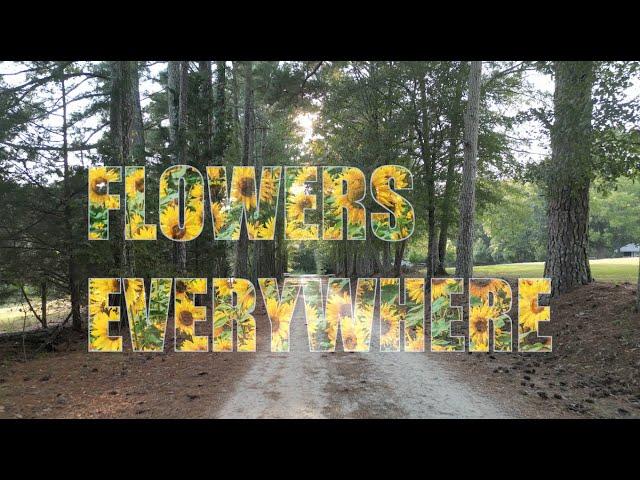 Pylon Reenactment Society - "Flowers Everywhere" (Official Video)