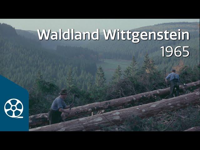 Waldland Wittgenstein 1965 | FILMSCHÄTZE