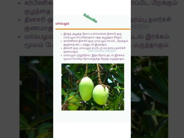 Healthy Lifestyle Tips Tamil:Mango,Mangifera மாம்பழம் |#shorts