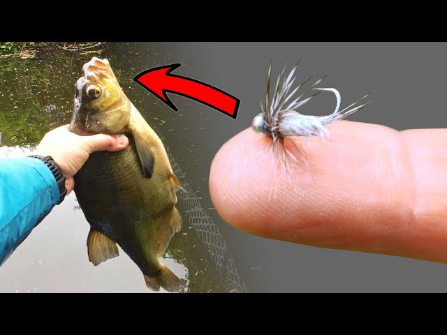 How to catch BIG Bream on a fly? Bream fishing on lures on the canal. SUL fishing