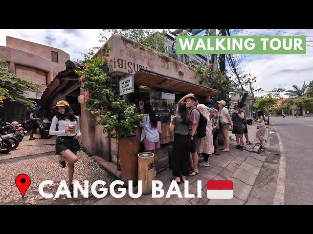 Bali Walking Update | Midday Activities In CANGGU Bali Today  | Canggu Street & Beach December 2024