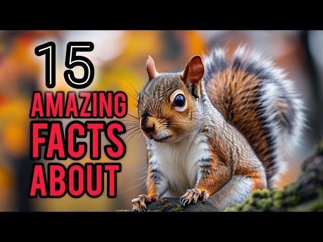 15 Interesting and Strange Facts About Squirrels You Might Not Know