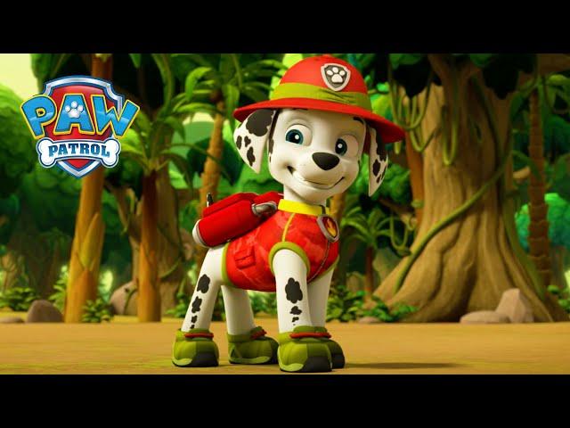 丛林小狗  - PAW Patrol 汪汪隊立大功 - 兒童卡通