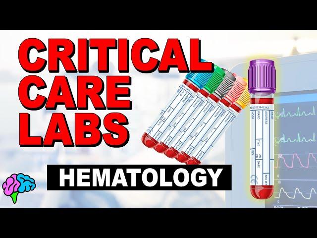 Hematology - Complete Blood Count (CBC) - Critical Care Labs