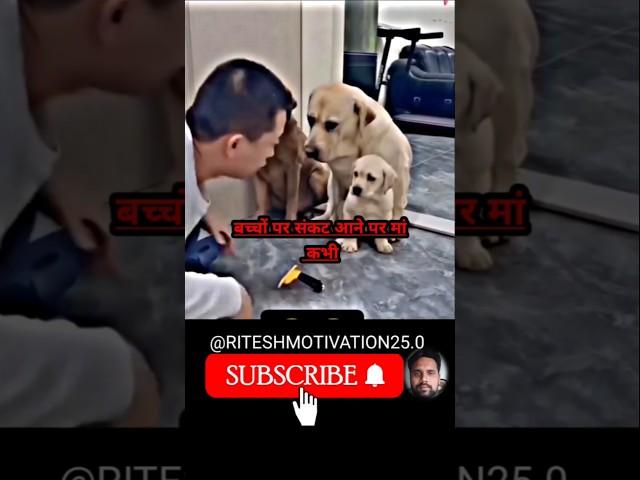Motivational quotes ⭐#motivation #quotes #trendingshorts #viralshort #youtubeshorts #success