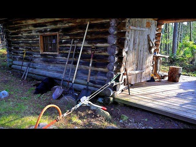 Working on the Off Grid Log Cabin in one of the most Remote Places in the Maine Woods (with a dog)