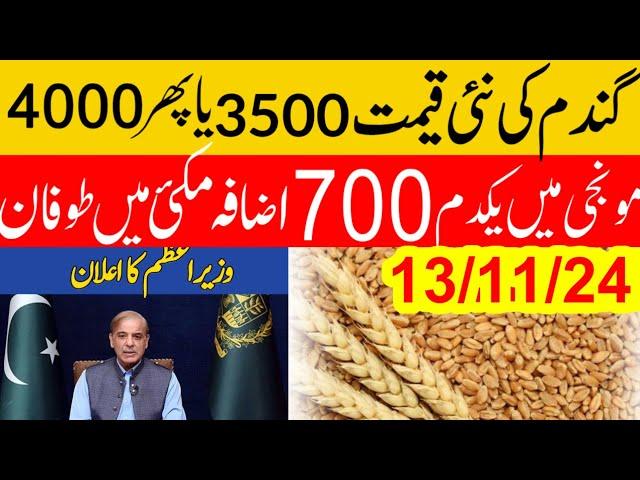 Big گندم میں اچانک اضافہ  Wheat price in punjab/گندم  کا ریٹ 2024/ makki till sarso/Gallasuper munji