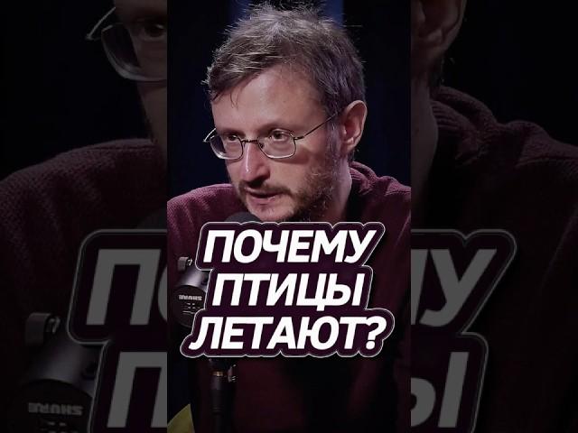 ДНК человека - это мусорка! Дробышевский #наука #интересно