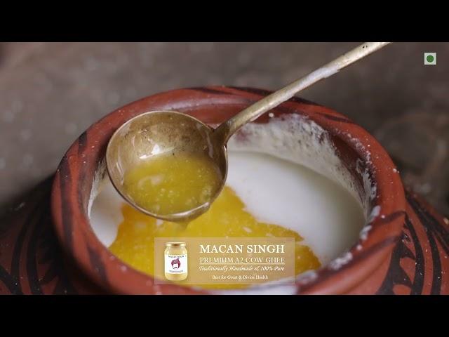 Traditional Desi Bilona/देसी बिलोना A2 Cow Ghee Making Process (Part 20)