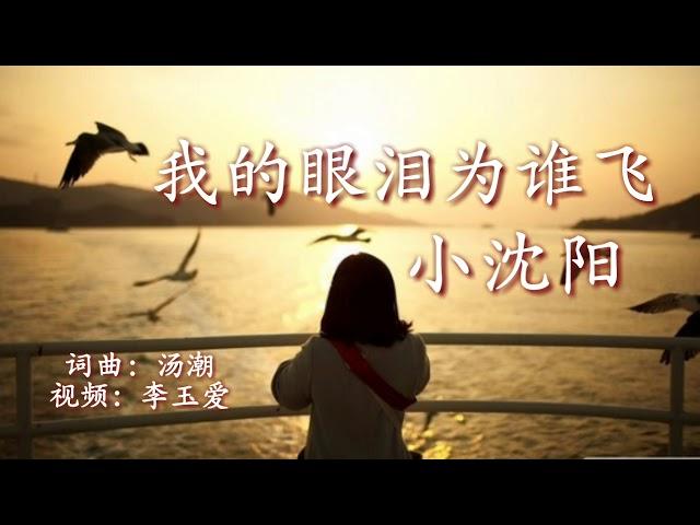 《我的眼泪为谁飞》 演唱：小沈阳