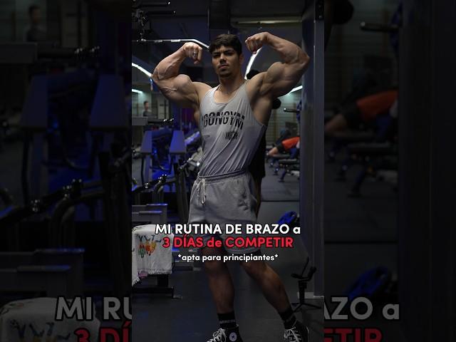 RUTINA de BRAZO para PRINCIPIANTES e INTERMEDIOS  #fitness #gym #athlete #gymmotivation #rutina