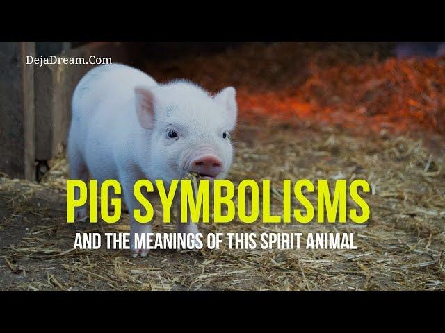 Pig Symbolisms And The Meanings Of This Spirit Animal