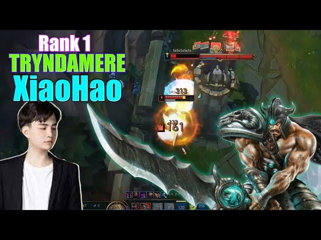RANK 1 TRYNDAMERE - XIAOHAO TRYNDAMERE VS AMBESSA - XIAOHAO STREAM