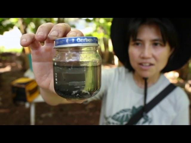 Korean Natural Farming Documentary