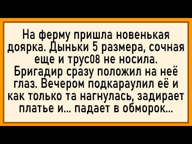 Как доярка залетела! Сборник свежих анекдотов! Юмор!