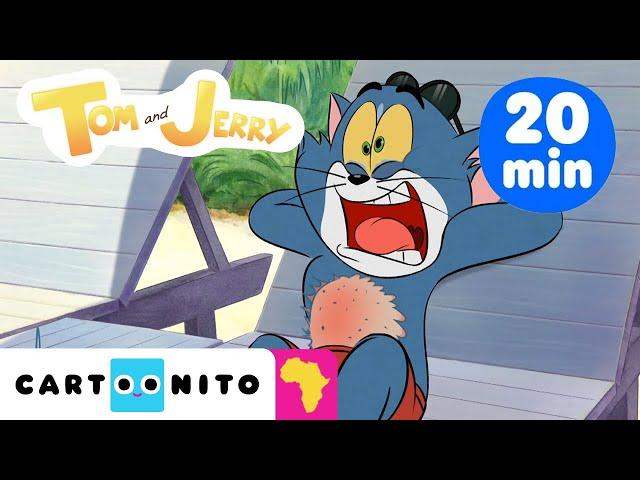 Tom & Jerry Hurry Hurry | Neighbourhood Mayhem Compilation #NEW Cartoon | Cartoonito Africa