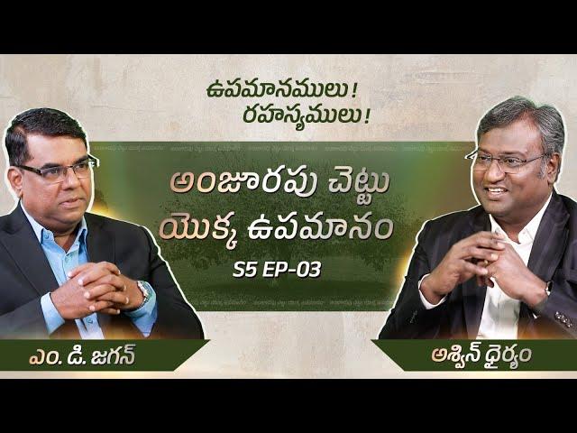 The Parable of the Fig Tree | Secrets of the Parables | S5 EP-04 | Subhavaartha TV