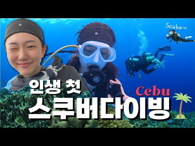 Cebu | 세부여행에서 인생 첫 스쿠버다이빙에 도전하다 | 세부 뉴그랑블루 | 다시 찾은 힐루뚱안 포인트🪸