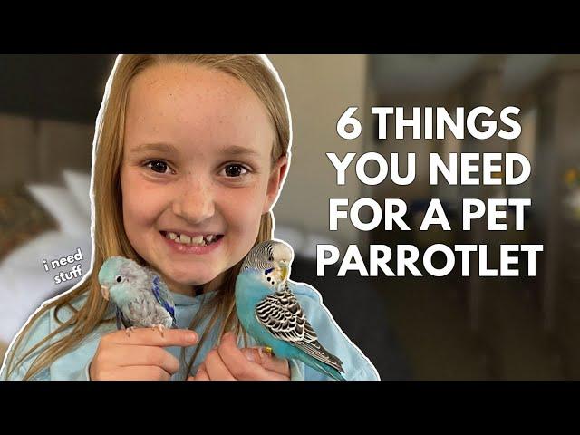 6 Things You Need For a Pet Parrotlet