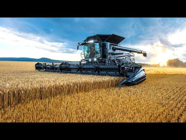 Australian Farmers Harvest Millions Of Tons Of Wheat This Way - Wheat Harvesting