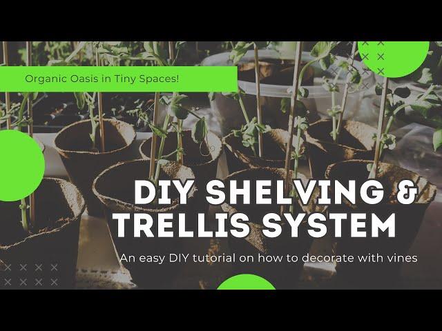 DIY Shelving & Trellis Systems