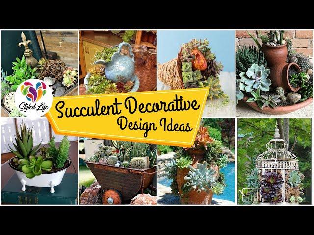 100+ Latest Succulent Garden Decorating Ideas! Must See!