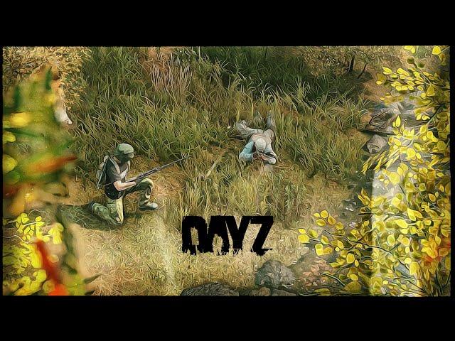 Это могло быть ИДЕАЛЬНОЕ ВЫЖИВАНИЕ в DayZ