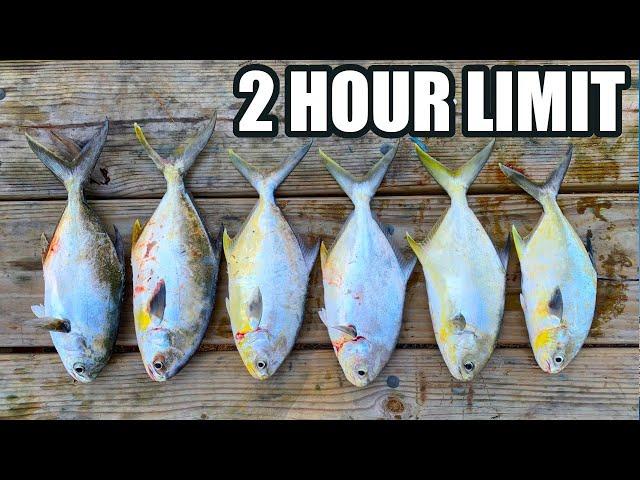 A Simple Way To Catch A Limit Fast (Catching Florida Pompano At The Beach With Lures)