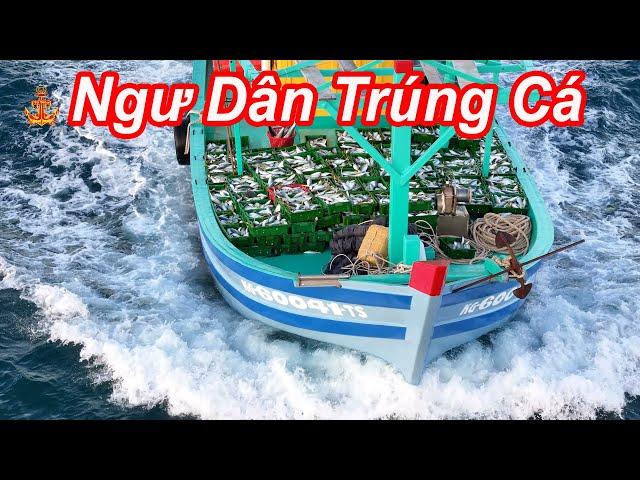 Trải Nghiệm Bám Theo Thuyền Đánh Cá Về Bến Tại Dương Đông - Phú Quốc