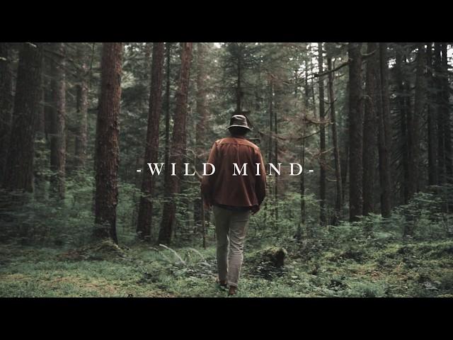 VOLO - Wild Mind (Official Video)