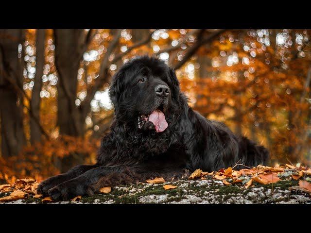 Английский для души # for soul