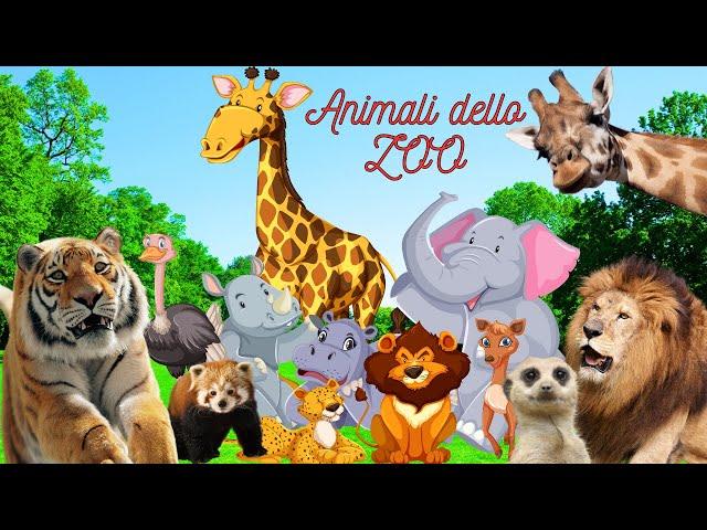 Caratteristiche UNICHE degli ANIMALI DELLO ZOO - Curiosità Animali.