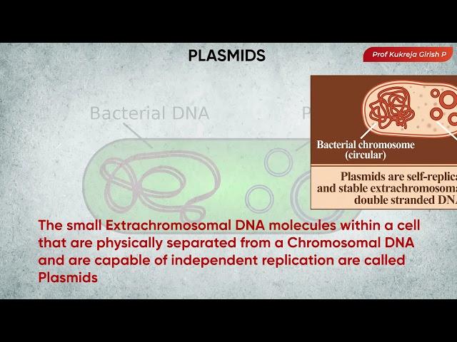 #Micro30 Bacterial Cytology - Extrachromosomal DNA - The Plasmid - Kukreja Girish #shorts