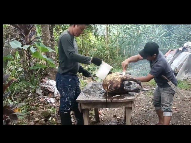 Old Igorot way of cooking Watwat and Dinakdakan 