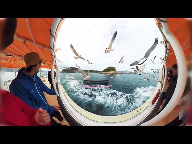 Sanriku Geopark VR Movie (Jodogahama Beach)