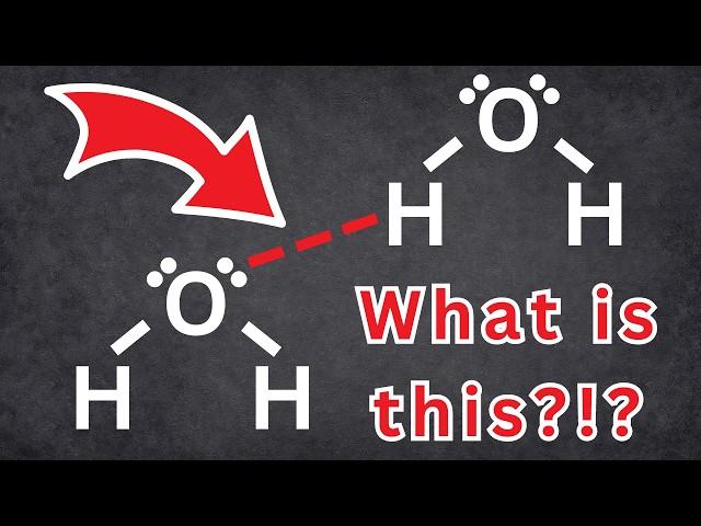 3 Intermolecular Forces You Must Know to PASS Chemistry | Tadashi Science