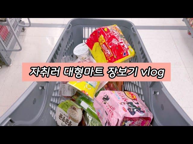 프로 자취러 장보기 브이로그  Korean grocery store vlog