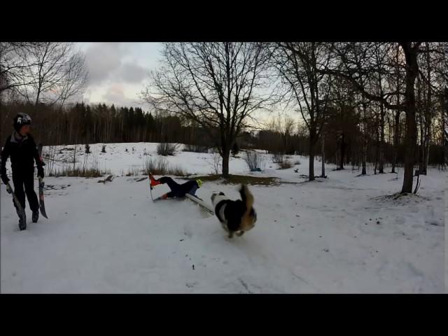 Ski Hippie episode 7: Backyard rail session