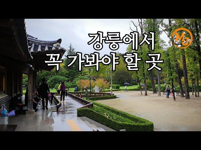 비 내리는 초당마을-허균, 허난설헌 기념관-울창한 소나무 숲을 걸어요(Rainy Chodang village-Heo Gyun, Heo Nanseolheon Memorial )