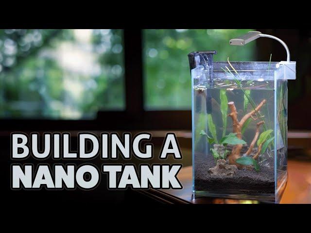 Best Nano Tank for Beginners | How to Set Up A Nano Aquarium Fish Tank.