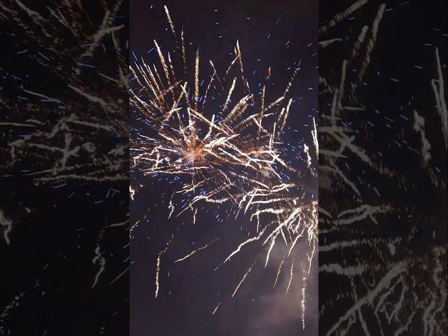 Frohes neues Jahr! Danke an alle Abonnenten!#fireworks#feuerwerk#vuurwerk#silvester#2025#viral